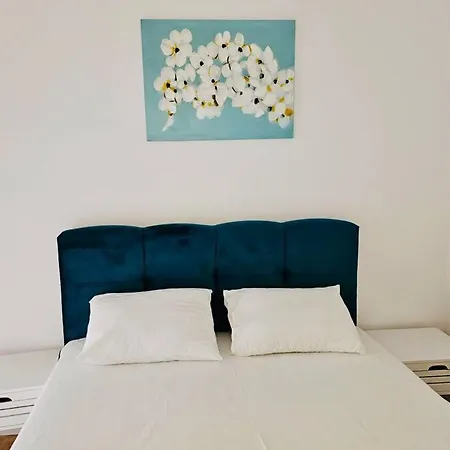 Joy Mara M10-12 Timişoara